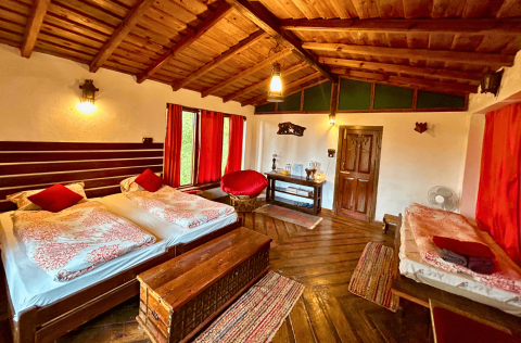 Modern_Cottage_Jungle_Lore_Birding_Lodge